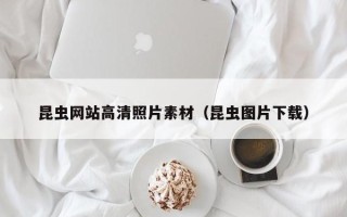淮安昆虫网站高清照片素材（昆虫图片下载）